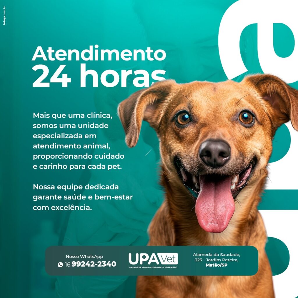 img servicos 04