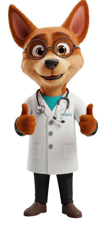 img section 01 plano