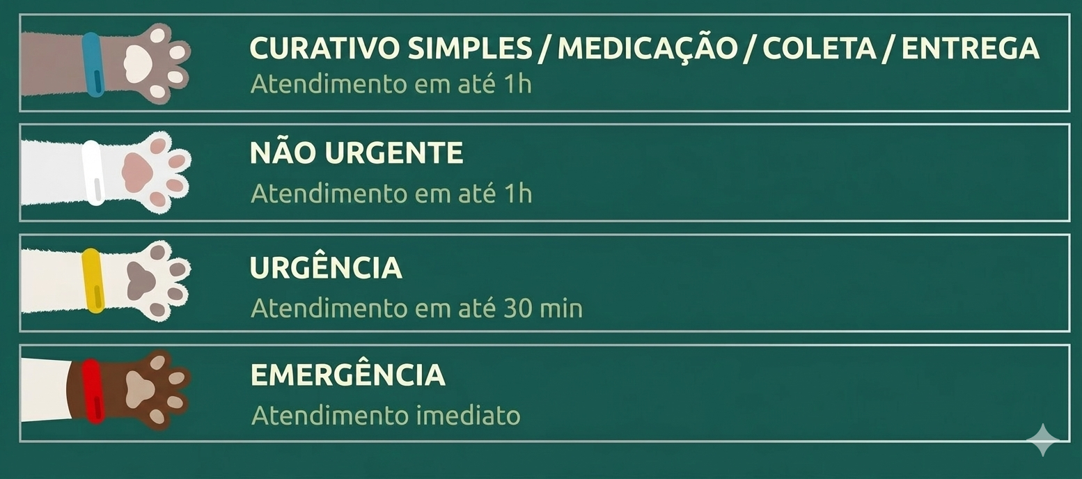 img-pronto-socorro-patinhas