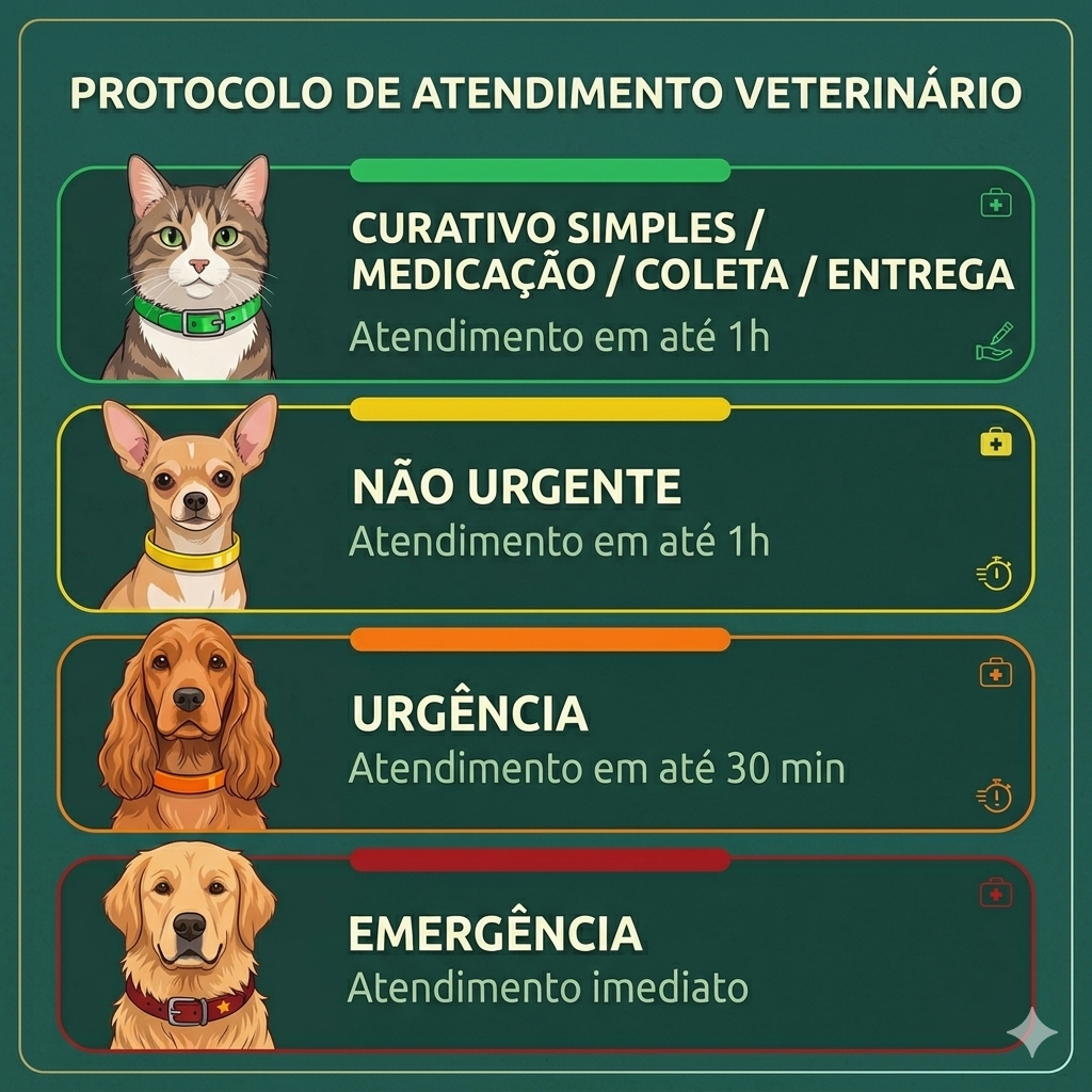 img protocolo pronto socorro