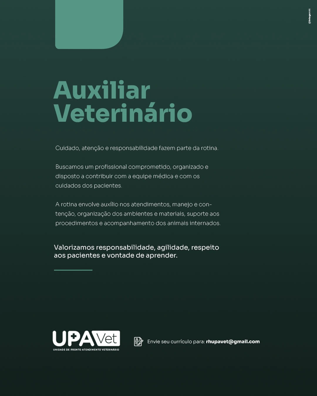 Vaga auxiliar vet