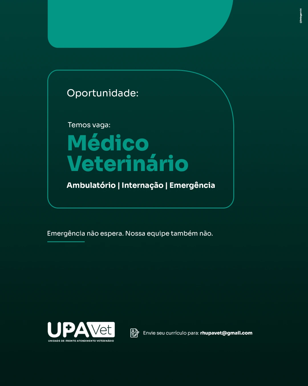 vaga medico vet